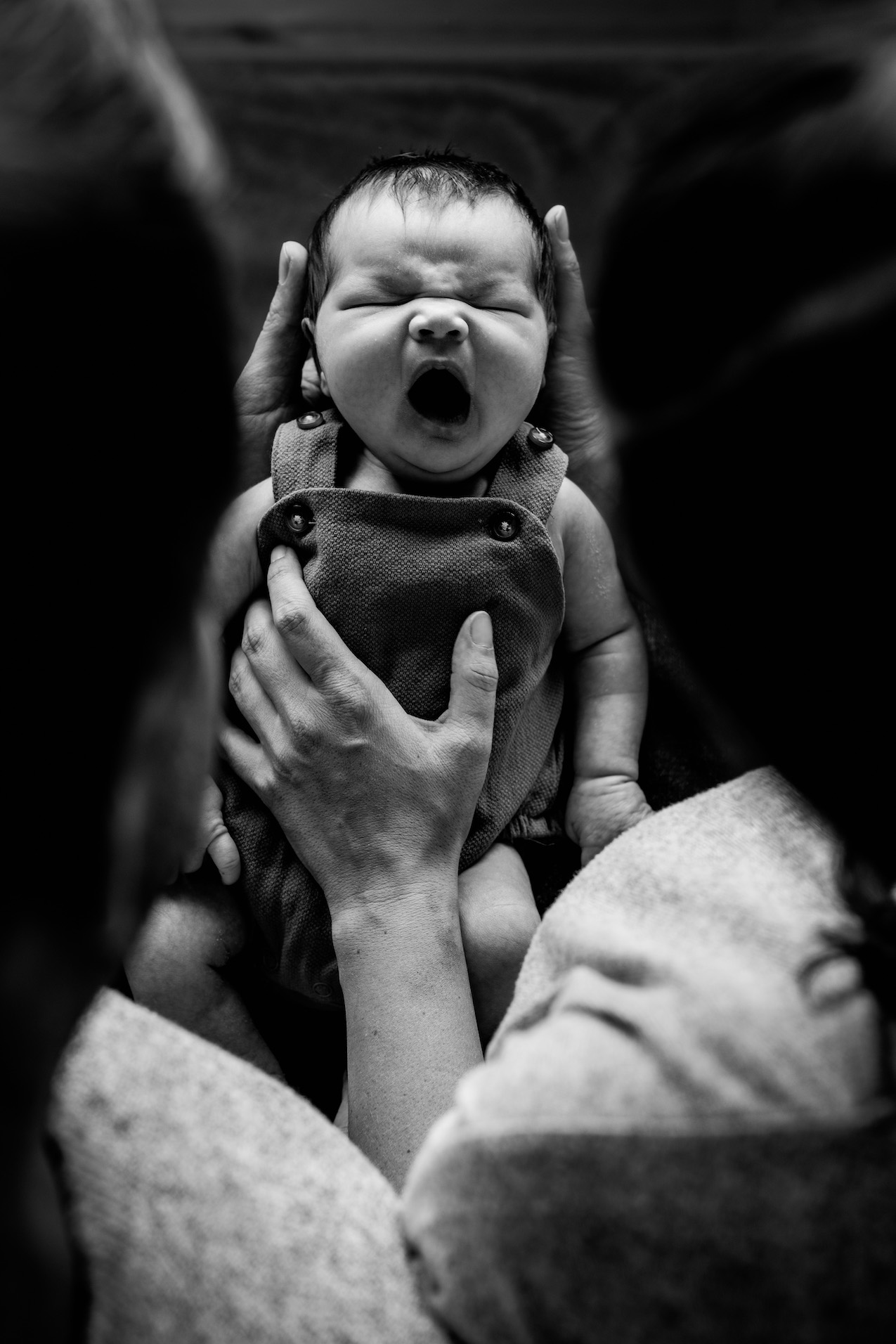 009-NEWBORN_CELLARIUS_C