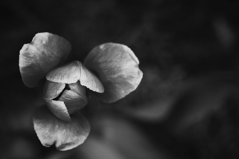 The best black and white photographers of 2024 - winners announced - as part of the Click and Company 