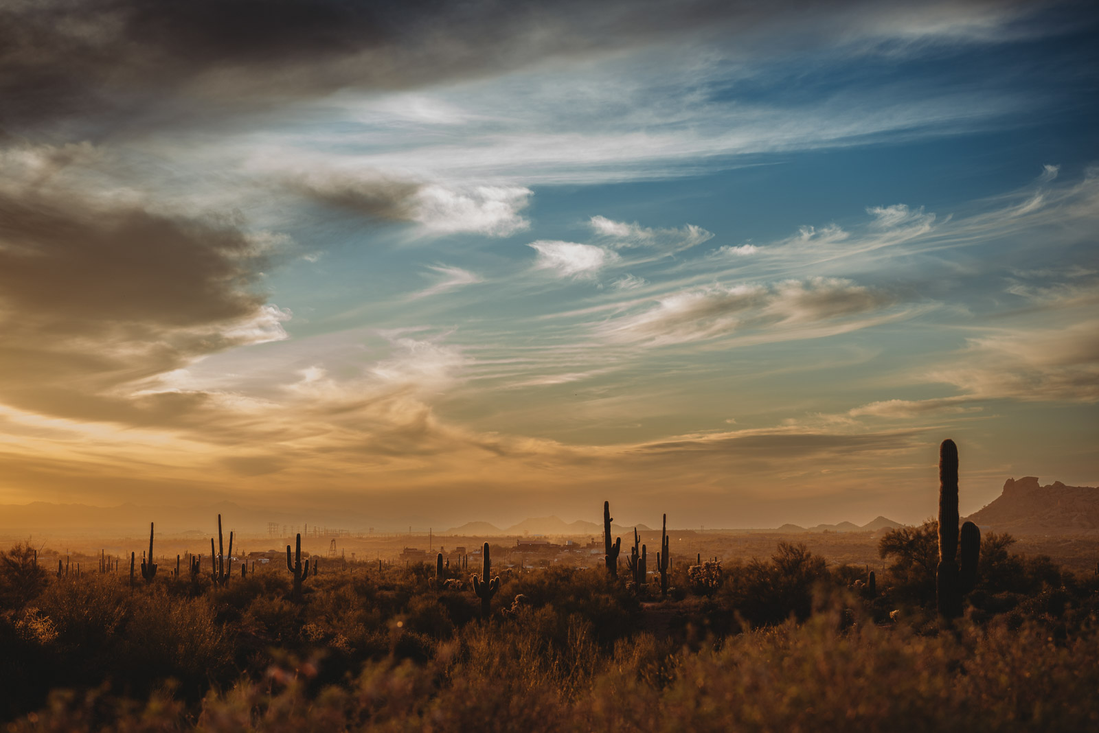 AmyDangerfield_Low_Res-1 Beautiful sunset in the desert