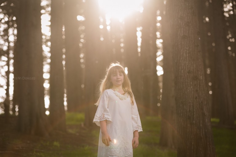 backlit photo with sunflare by Kristin Dokoza