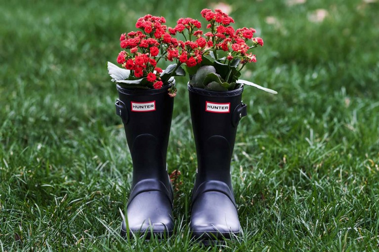 Hunter boots with flowers inside, spring boots for photogrpahers