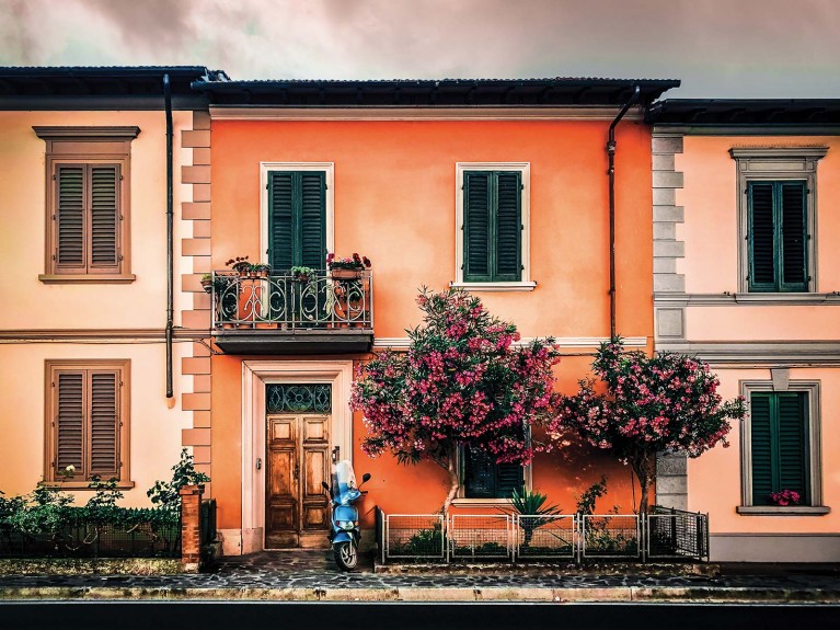 Click photo contest winner for smartphone photography category, first place