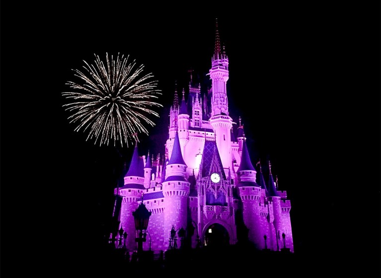 disney world for photographers
