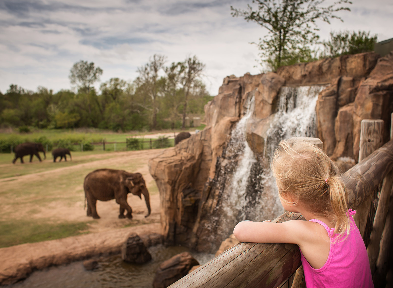 girl in pink shirt watching elephants by Kate Luber The summer months offer up countless opportunities to infuse your lifestyle sessions — with clients or your own brood — with color, whimsy and pure joy. To help you plow this rich loam, we’re planting a few ideas, from the sublimely simple to the ridiculously complex. (Bonus: These’ll keep the kids occupied for a minute, too.)