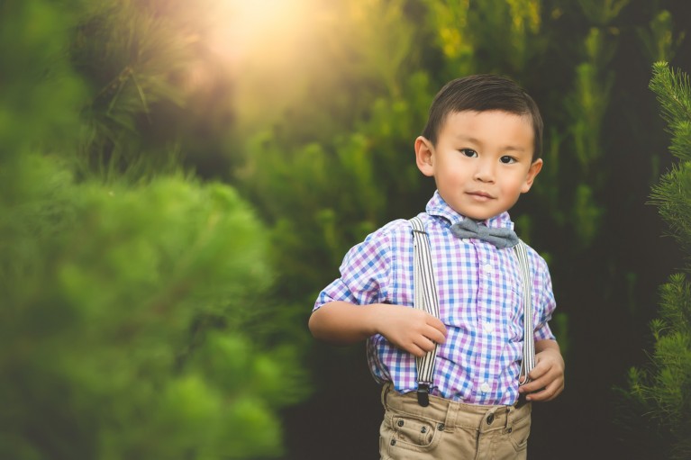 I've offered all kinds of photo mini sessions. Over the years, I've learned how to make these sessions as efficient and easy as possible.