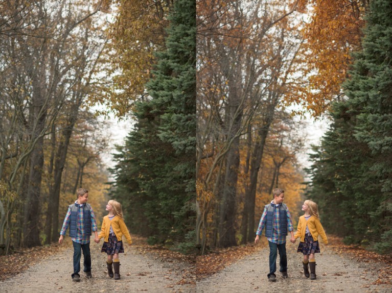 how to edit trees in Photoshop to make them look more like fall by Mickie DeVries