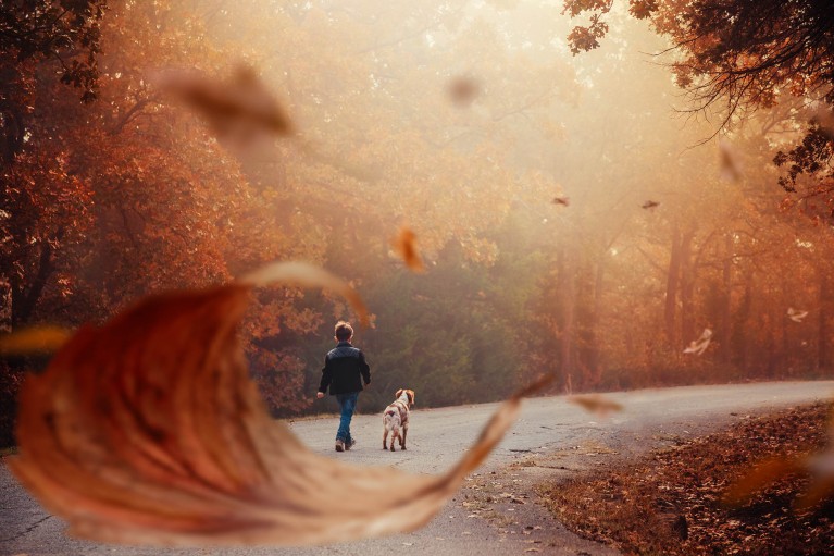 Boy walking with dog framed by leaf