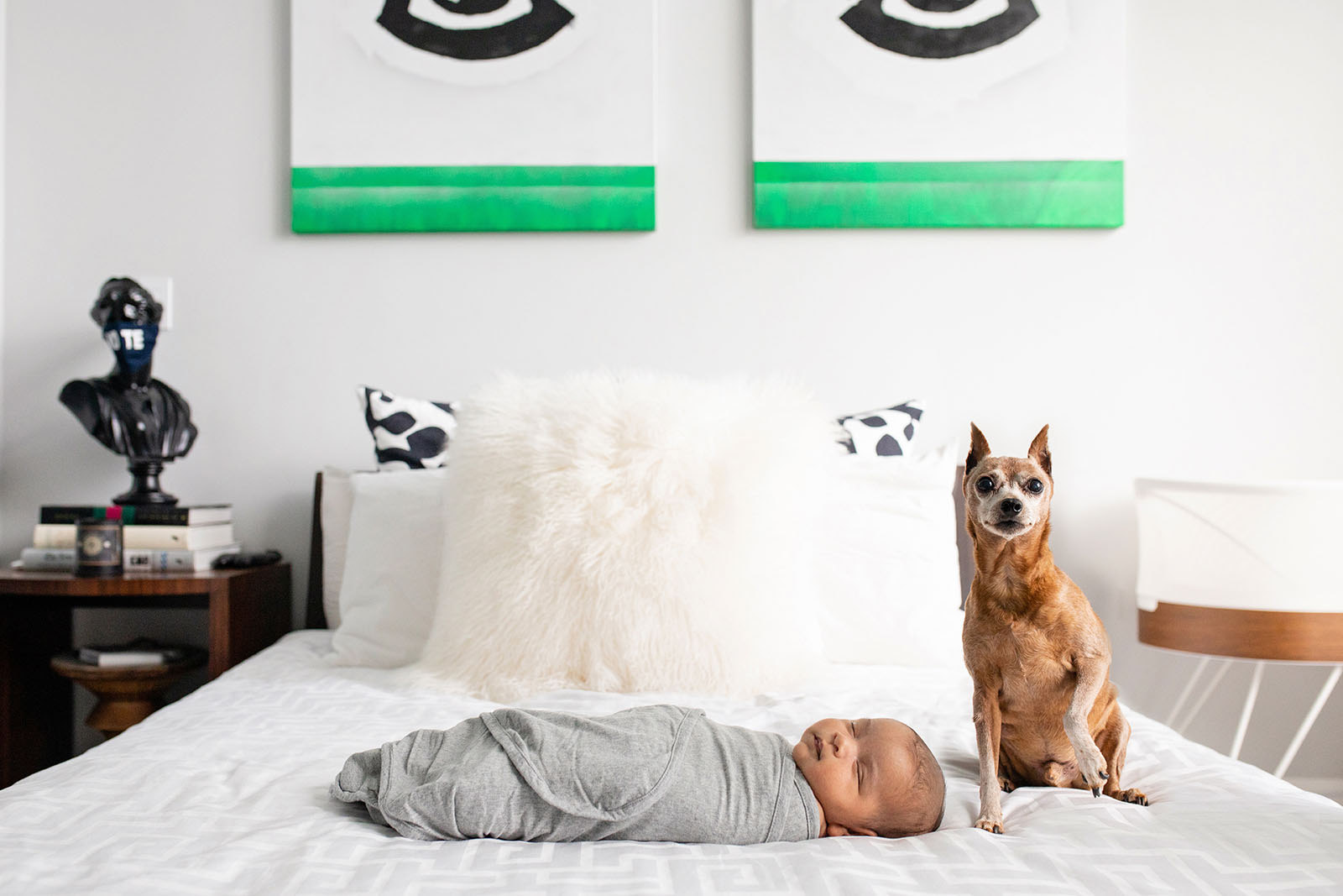 Neborn-baby-with-dog-on-bed-Miami-Covid-safe-photo-session-Audrey-Blake-Photography-with-dr-hansel-tookes 30 Newborn baby and dog on bed during photo session