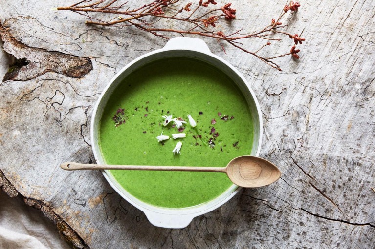 How to become a professional food photographer, image of nettle soup