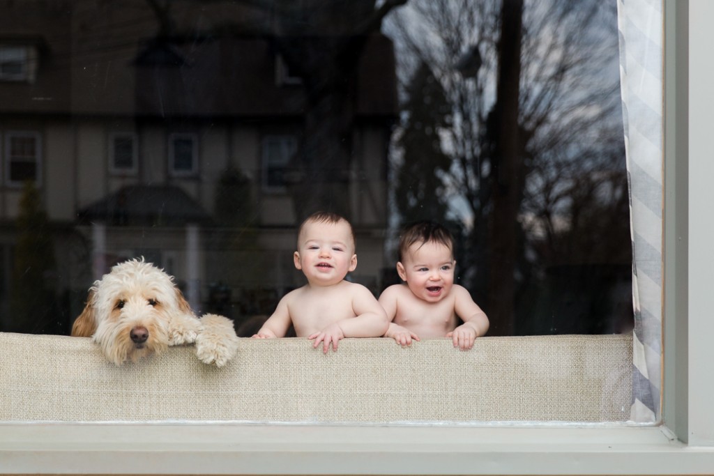 photo of twin boys and a dog looking out a window by Jaye McLaughlin