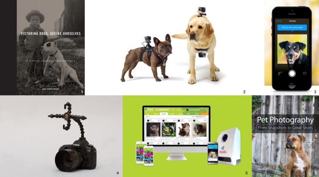 pet photography ideas