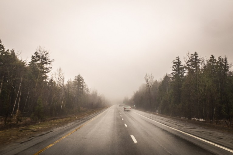 Cars on a foggy road: What's next in your photography journey