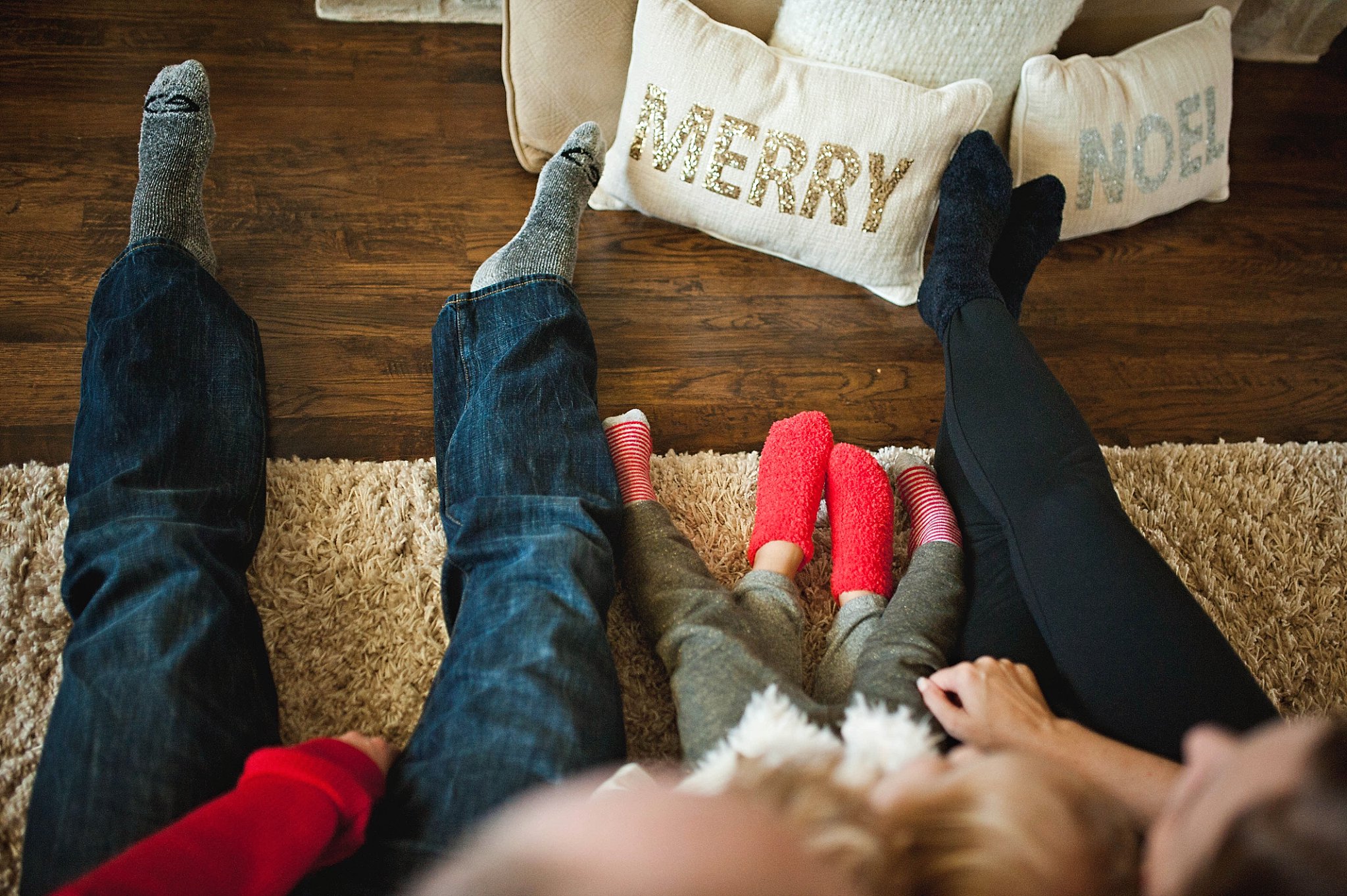 picture of merry and noel pillows by Erica Williams