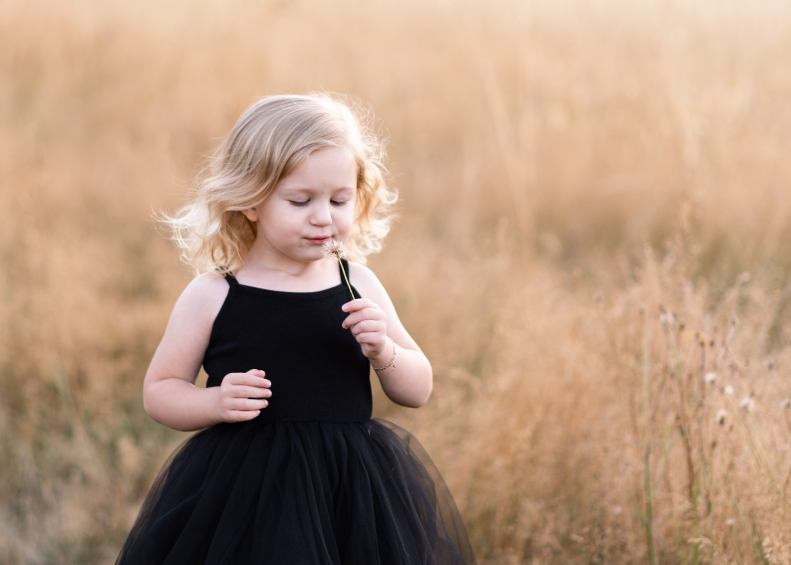 Play-Melissa-Miller-3 Little girl in black dress blows on dandelion