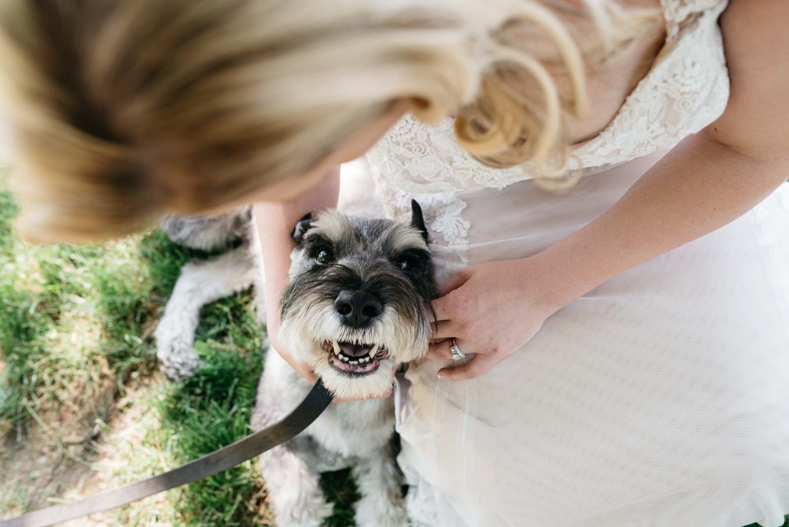 Second-Shooter-Blog-Click-by-Mariah-Fisher-15 Detail shot of a dog and bride, shot by a second photographer.