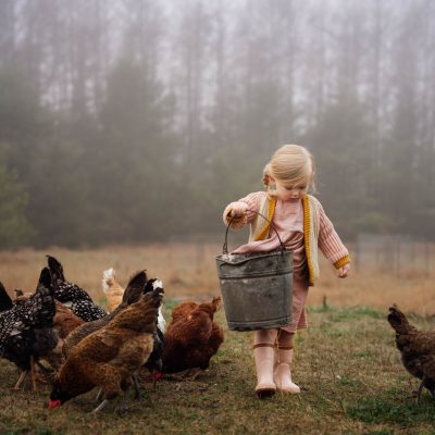 Girl feeding Chickens by Meg Loeks Sigma 28-70mm lens
