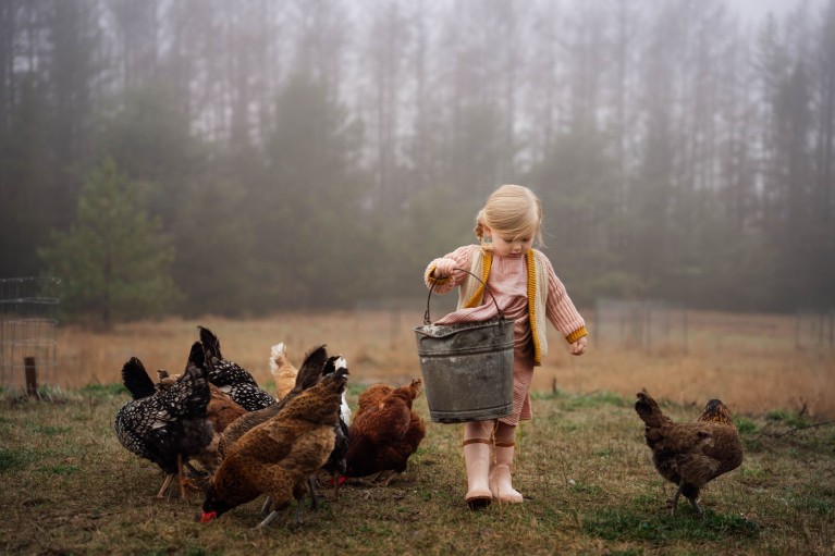 Girl feeding Chickens by Meg Loeks Sigma 28-70mm lens