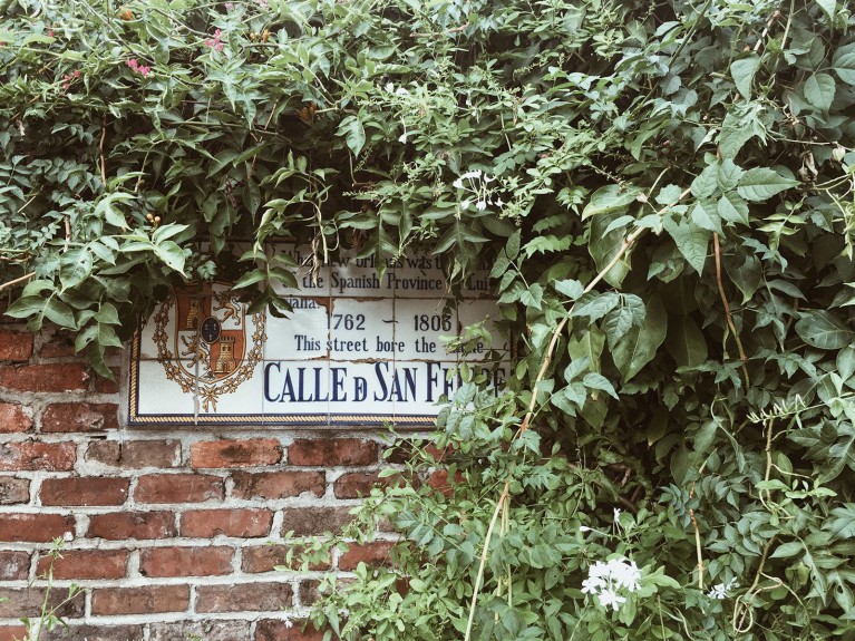 signs in new orleans resembling signs in paris france by chanel french