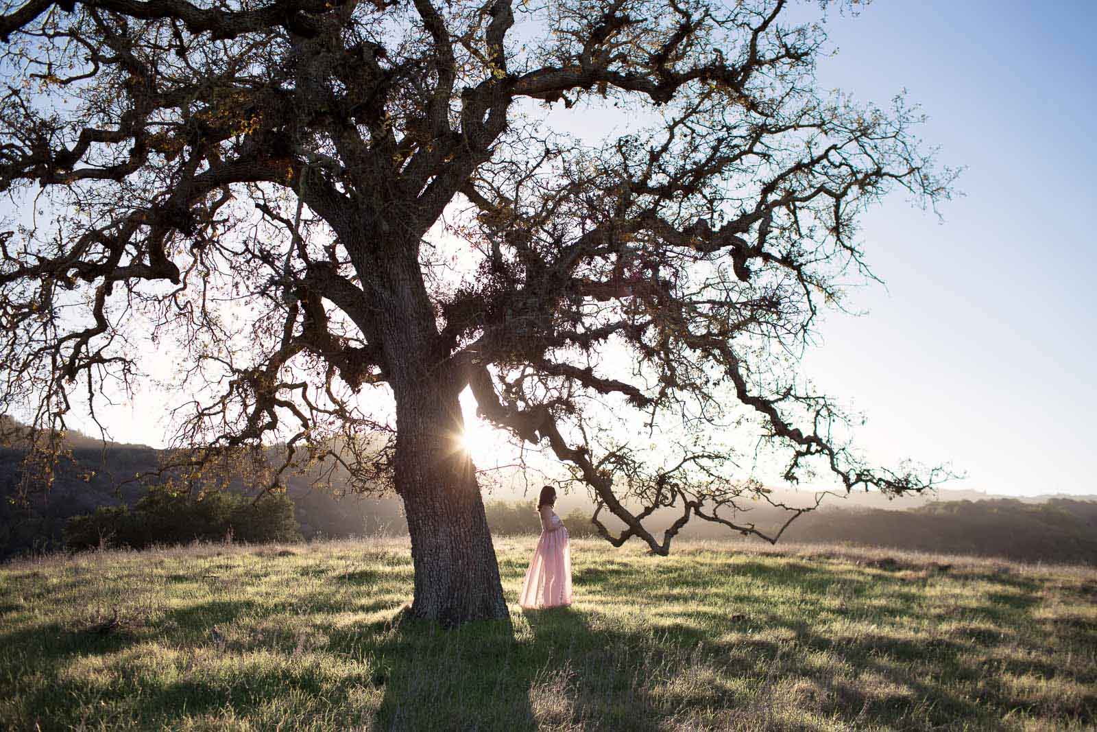TarahPhotography-Cupertino-65miles Travel session photo of a pregnant woman under a tree in Cupertino California