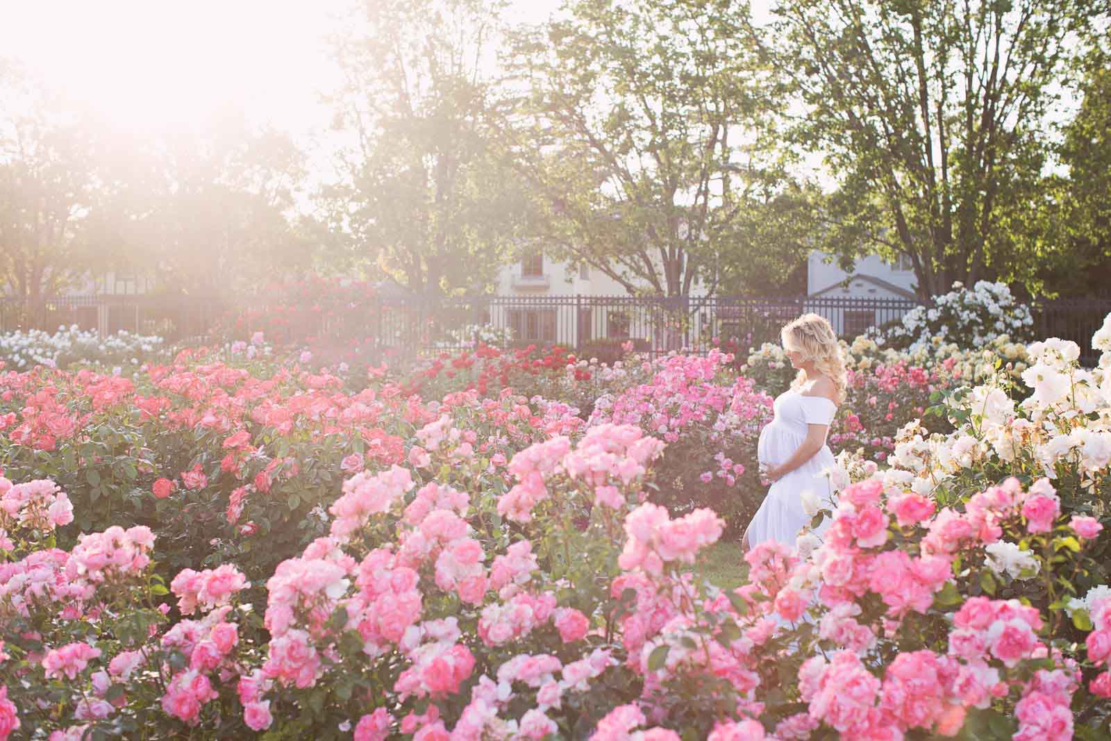 TarahPhotography-SanJose-53miles A pregnant woman stands in a field of pink flowers in San Jose, California